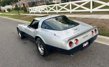 Chevrolet-Corvette-1981-Coupe-4