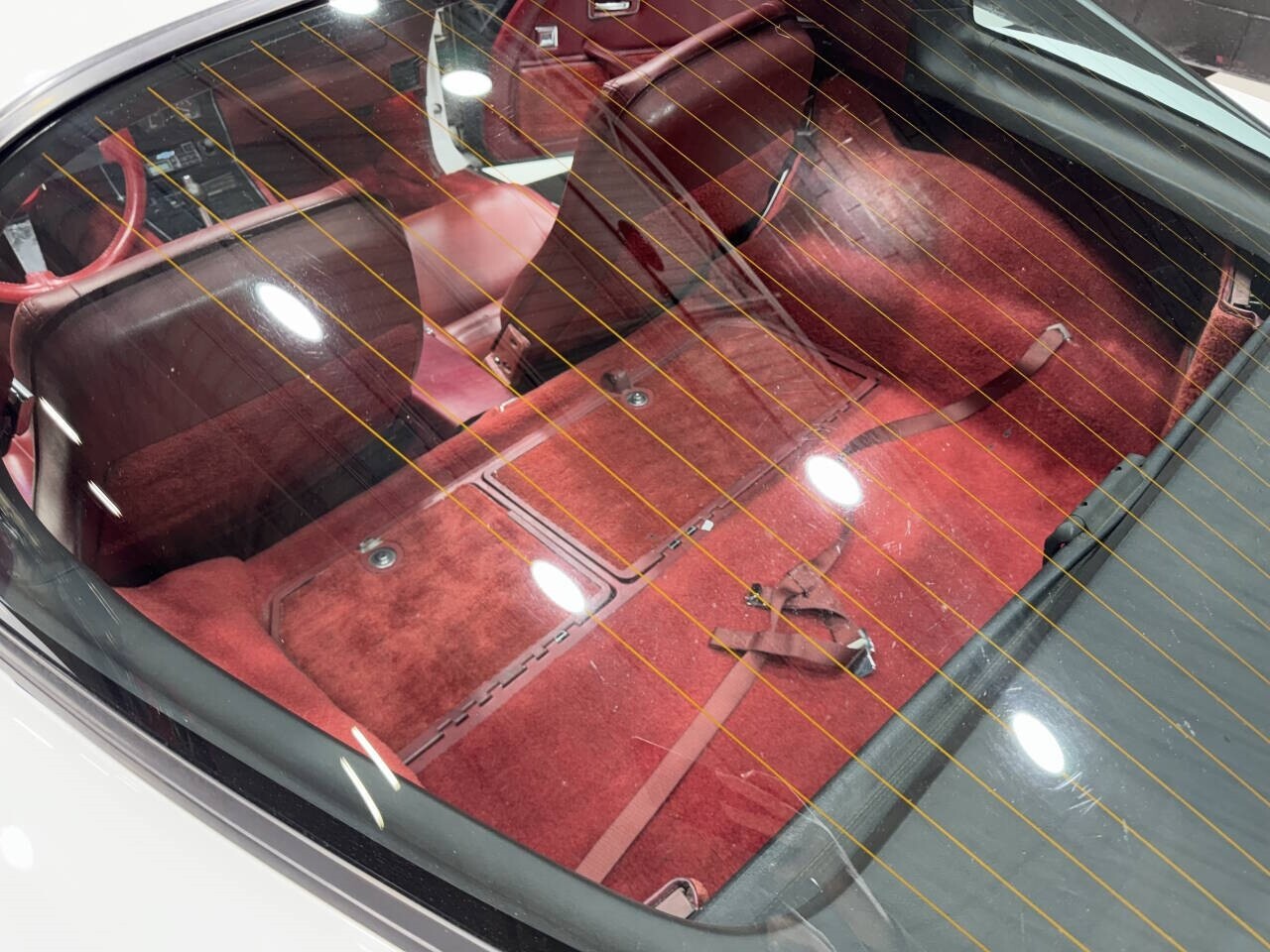 Chevrolet-Corvette-1981-Coupe-4
