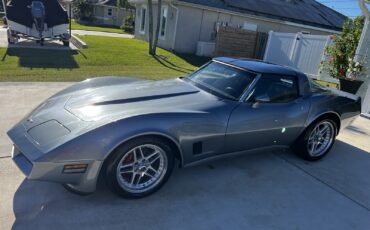Chevrolet-Corvette-1981-Coupe-5
