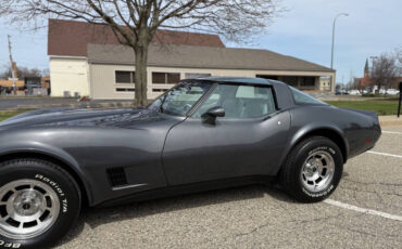 Chevrolet-Corvette-1981-Coupe-6