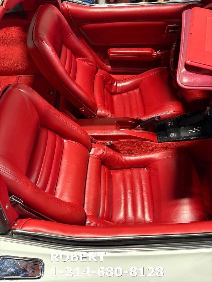 Chevrolet-Corvette-1981-Coupe-7
