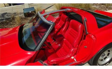 Chevrolet-Corvette-1981-T-TOPD-13