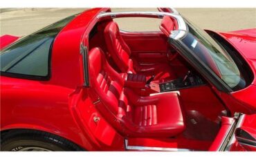 Chevrolet-Corvette-1981-T-TOPD-14