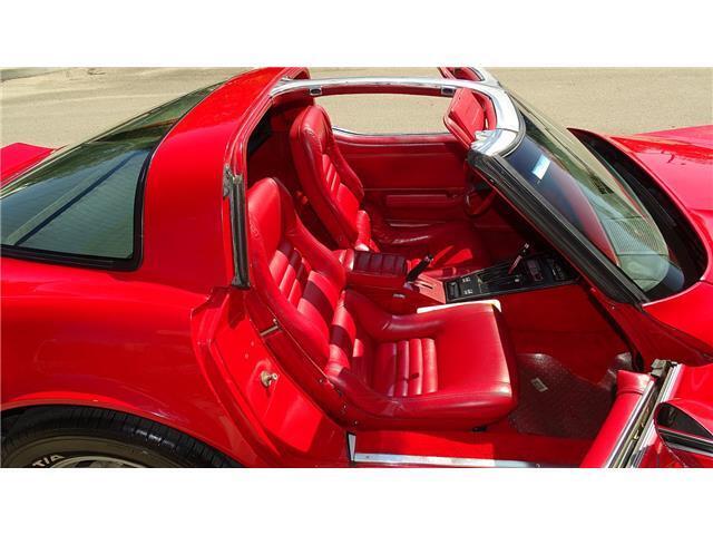 Chevrolet-Corvette-1981-T-TOPD-14
