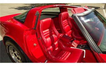 Chevrolet-Corvette-1981-T-TOPD-15