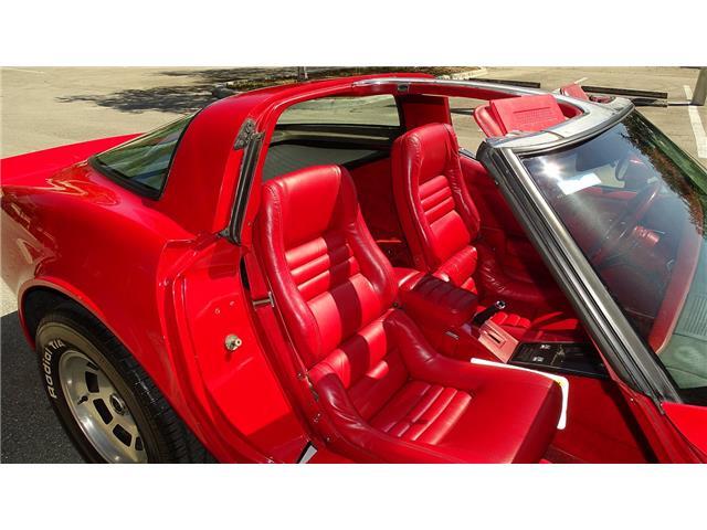 Chevrolet-Corvette-1981-T-TOPD-15