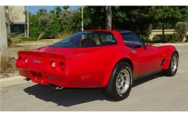 Chevrolet-Corvette-1981-T-TOPD-4