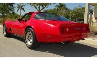 Chevrolet-Corvette-1981-T-TOPD-5