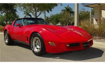 Chevrolet-Corvette-1981-T-TOPD-6