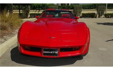 Chevrolet-Corvette-1981-T-TOPD-9