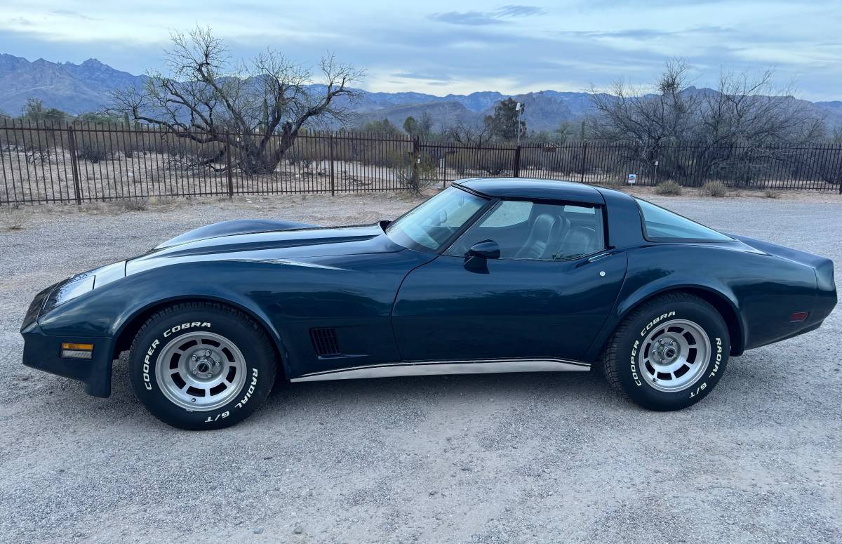 Chevrolet-Corvette-1981-blue-1