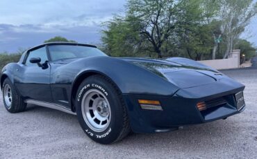 Chevrolet-Corvette-1981-blue-10