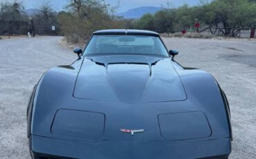 Chevrolet-Corvette-1981-blue-11