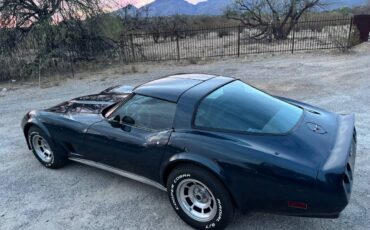Chevrolet-Corvette-1981-blue-14