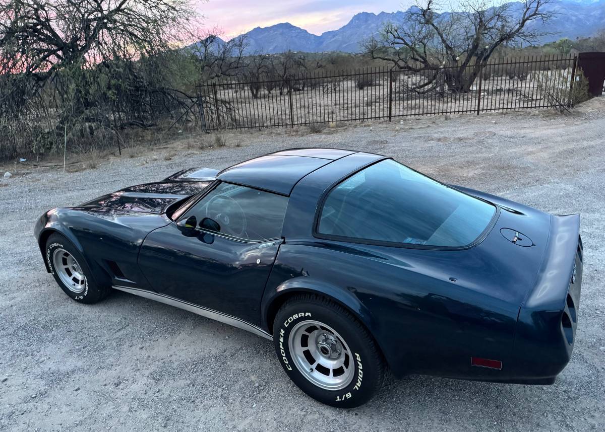 Chevrolet-Corvette-1981-blue-14