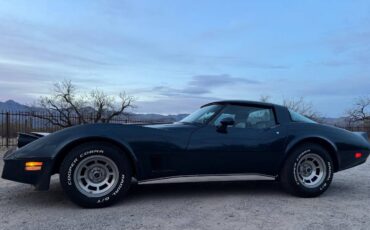 Chevrolet-Corvette-1981-blue-15