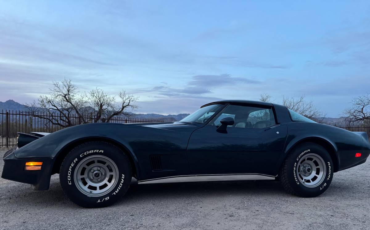 Chevrolet-Corvette-1981-blue-15