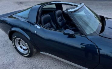 Chevrolet-Corvette-1981-blue-16