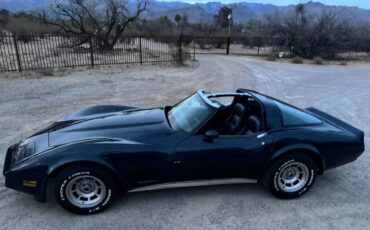 Chevrolet-Corvette-1981-blue-17