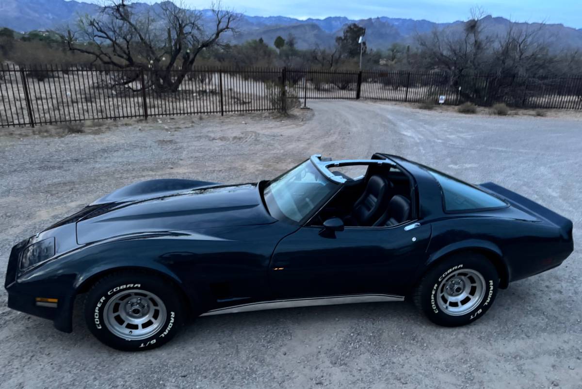 Chevrolet-Corvette-1981-blue-17