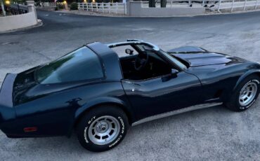 Chevrolet-Corvette-1981-blue-18