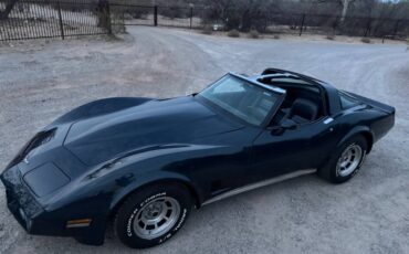 Chevrolet-Corvette-1981-blue-19