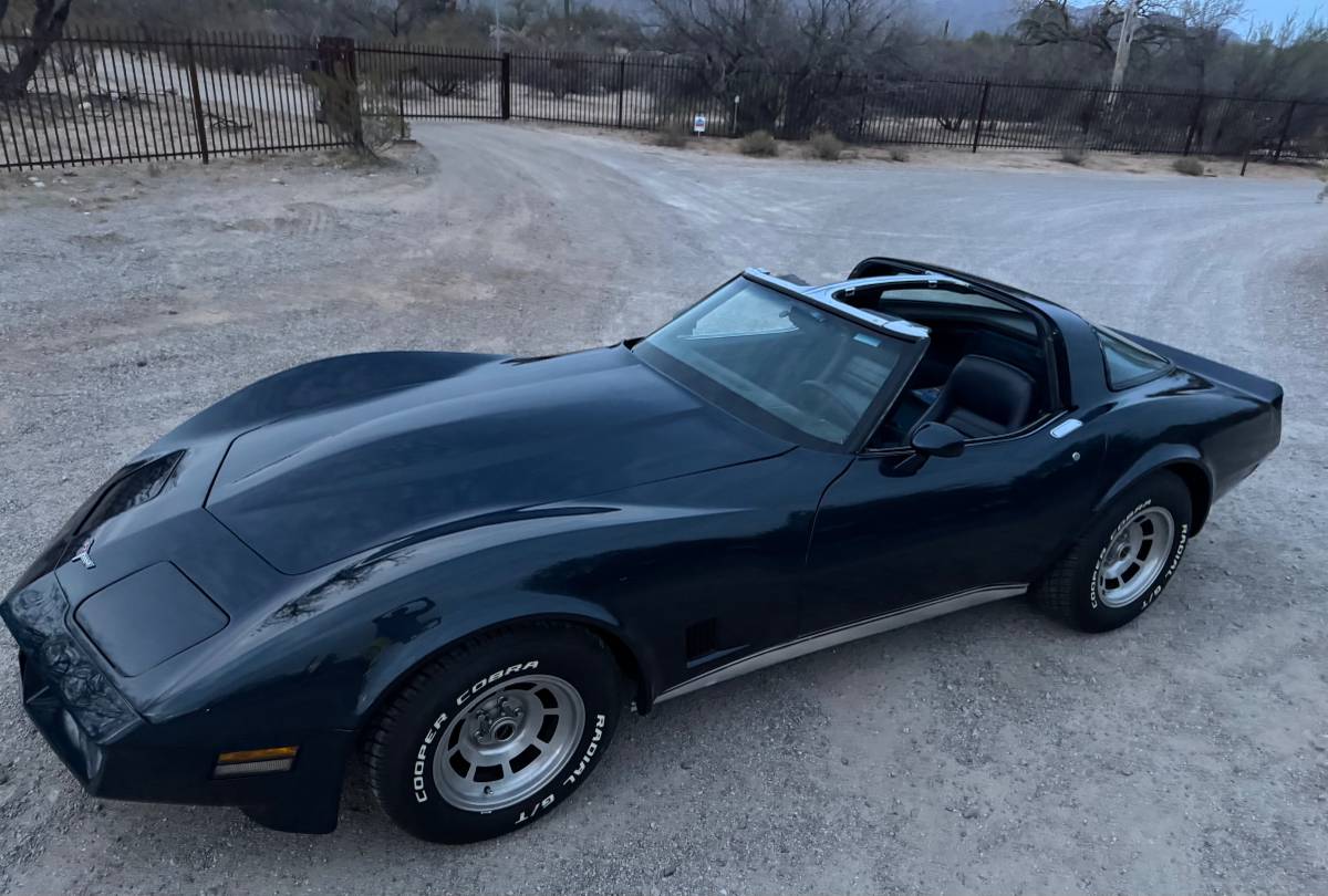Chevrolet-Corvette-1981-blue-19