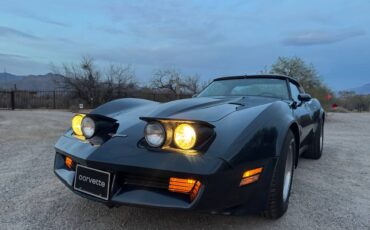 Chevrolet-Corvette-1981-blue-20