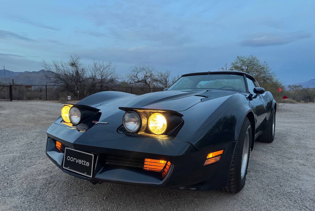 Chevrolet-Corvette-1981-blue-20