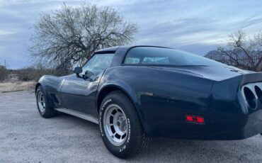 Chevrolet-Corvette-1981-blue-6