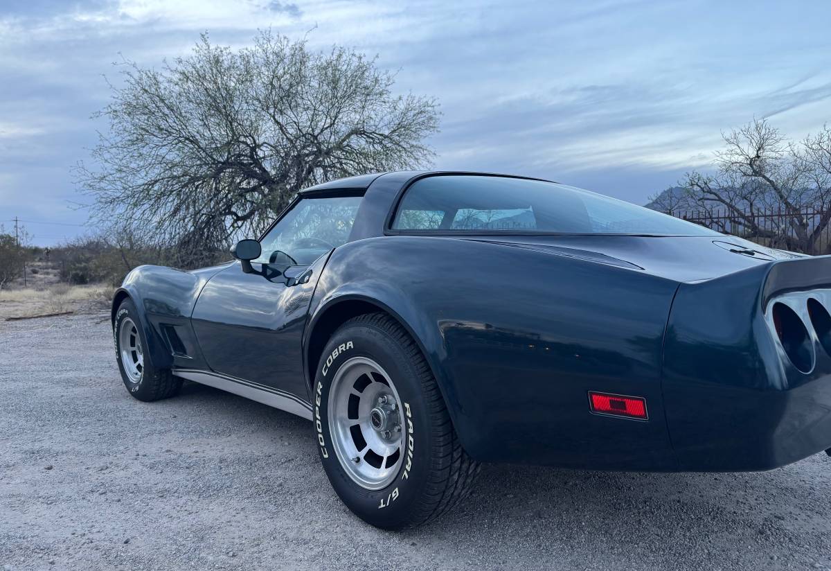 Chevrolet-Corvette-1981-blue-6