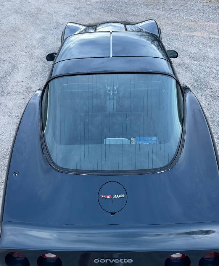 Chevrolet-Corvette-1981-blue-7