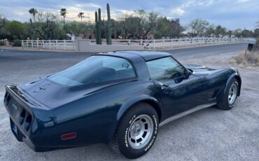 Chevrolet-Corvette-1981-blue-9