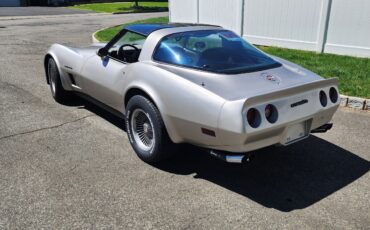 Chevrolet-Corvette-1982-1