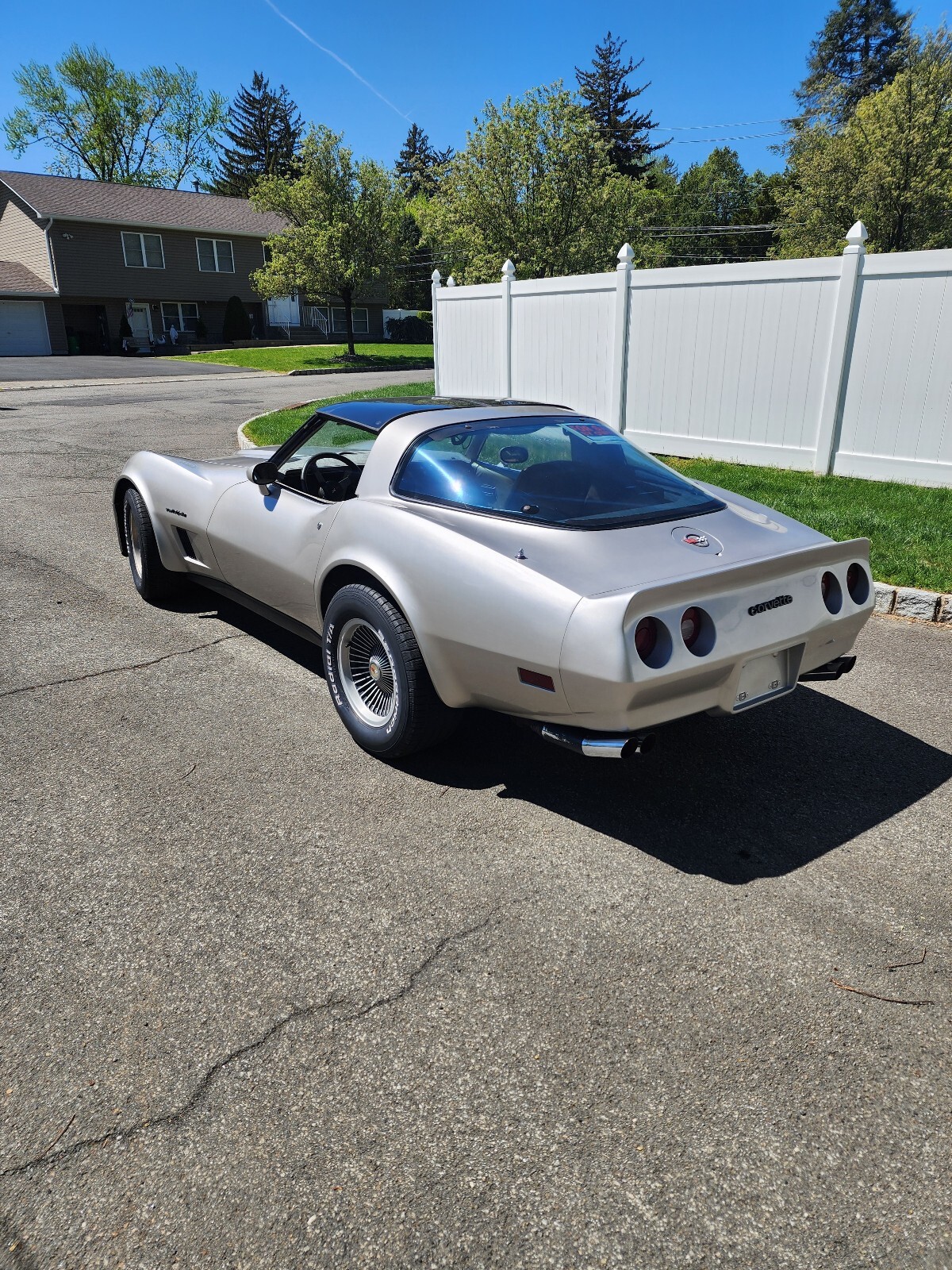 Chevrolet-Corvette-1982-1