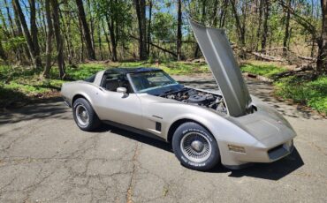 Chevrolet-Corvette-1982-3