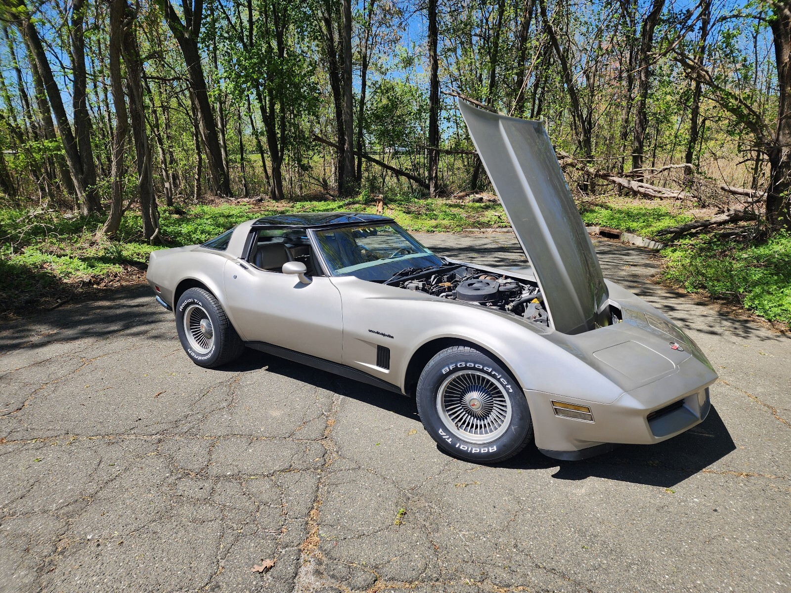 Chevrolet-Corvette-1982-3
