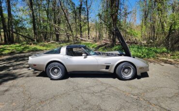 Chevrolet-Corvette-1982-4
