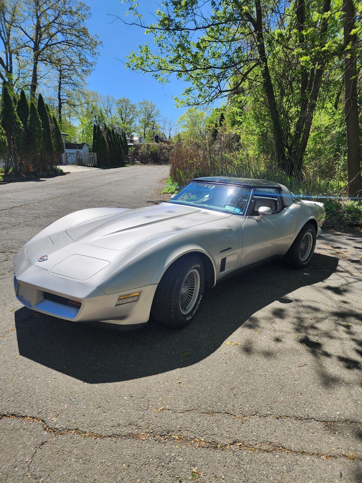 Chevrolet-Corvette-1982-5