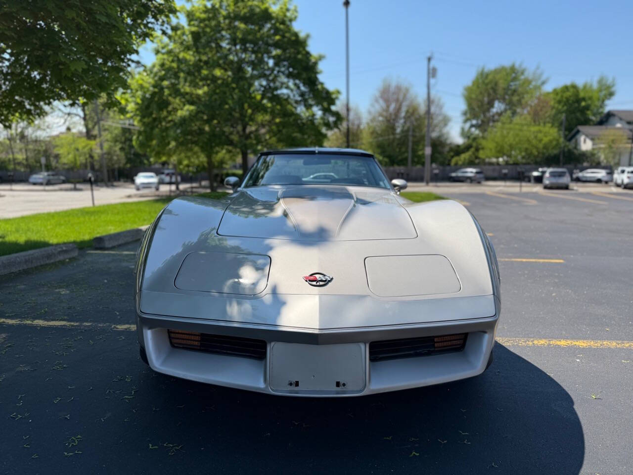 Chevrolet-Corvette-1982-Hatchback-1