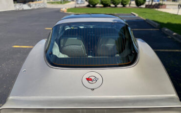 Chevrolet-Corvette-1982-Hatchback-10