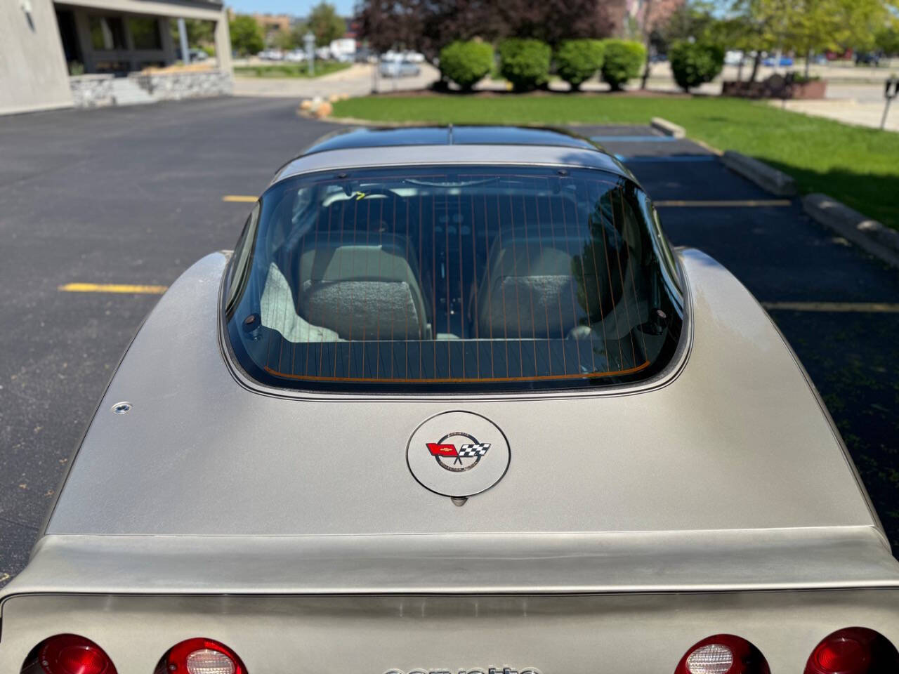 Chevrolet-Corvette-1982-Hatchback-10