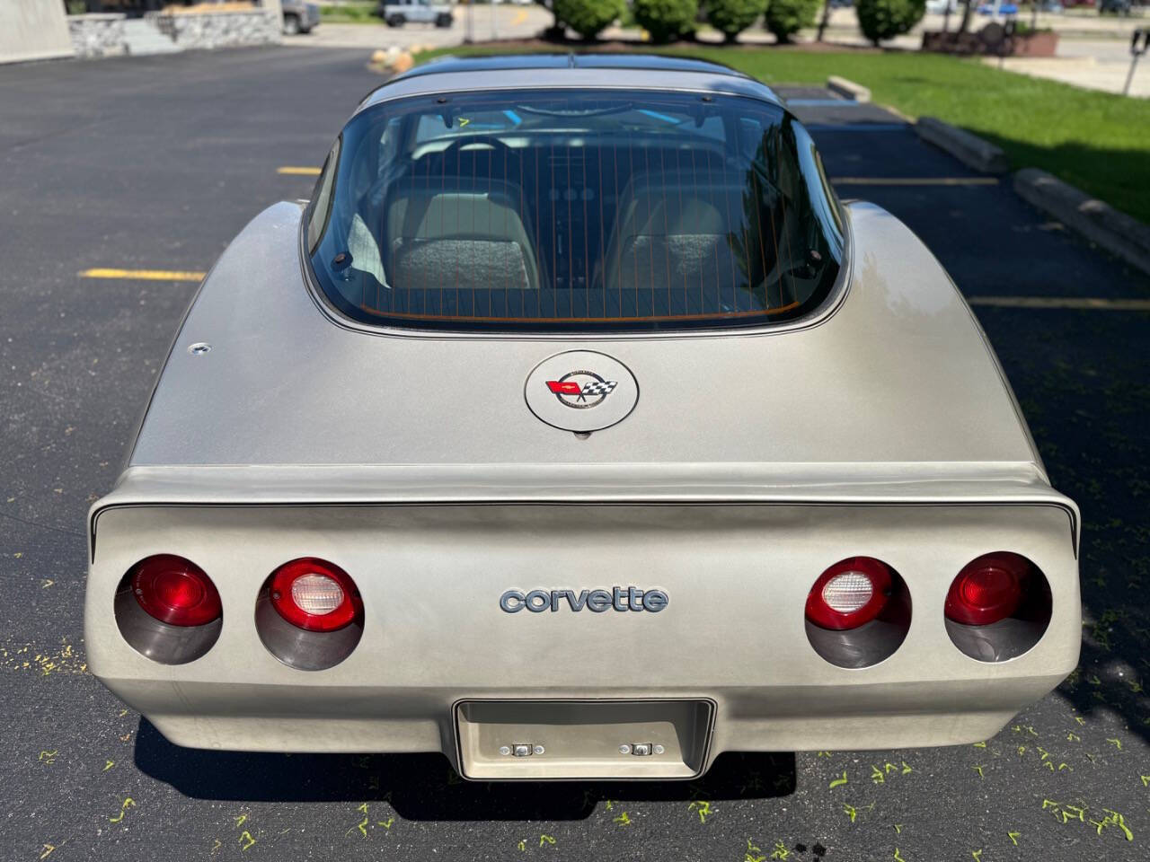 Chevrolet-Corvette-1982-Hatchback-14