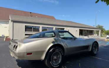 Chevrolet-Corvette-1982-Hatchback-16