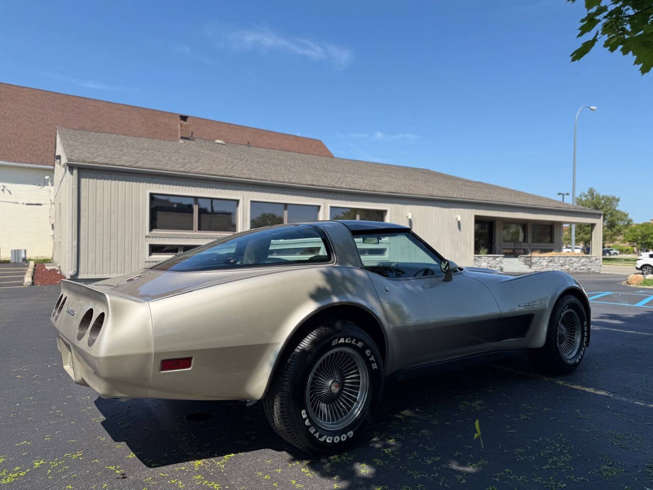 Chevrolet-Corvette-1982-Hatchback-16