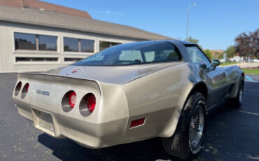 Chevrolet-Corvette-1982-Hatchback-17