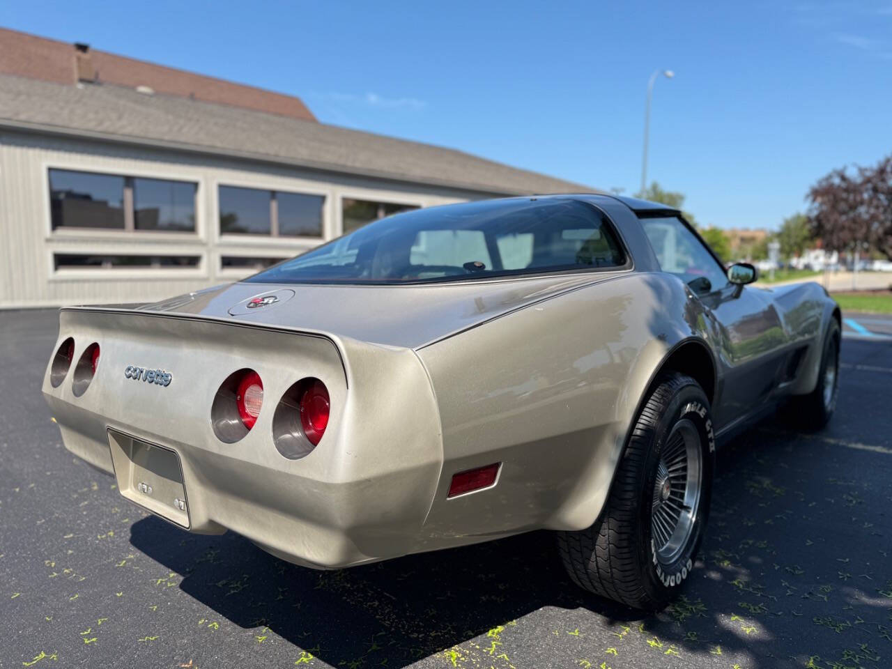 Chevrolet-Corvette-1982-Hatchback-17