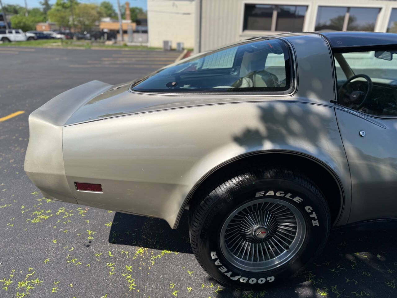 Chevrolet-Corvette-1982-Hatchback-18