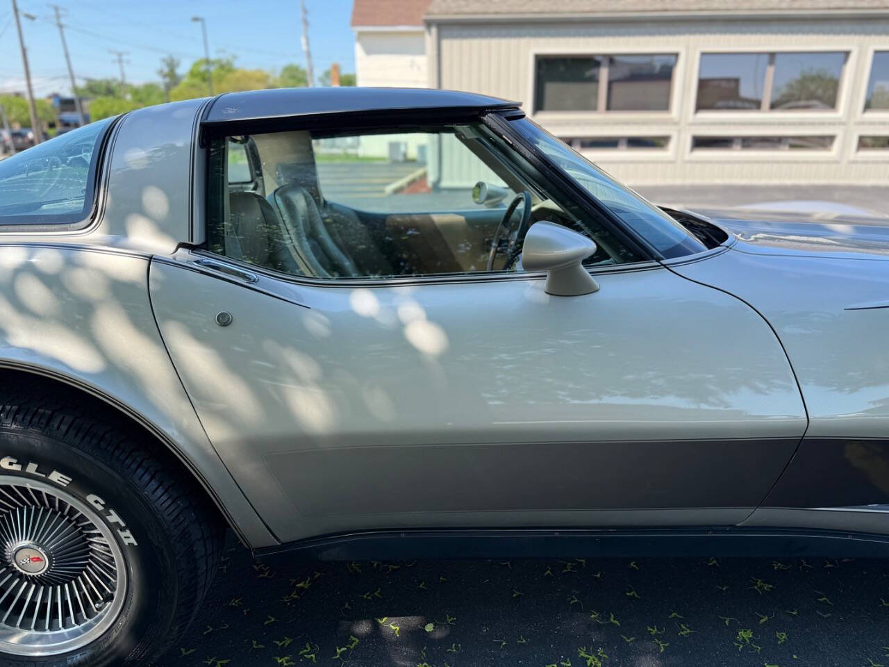Chevrolet-Corvette-1982-Hatchback-19