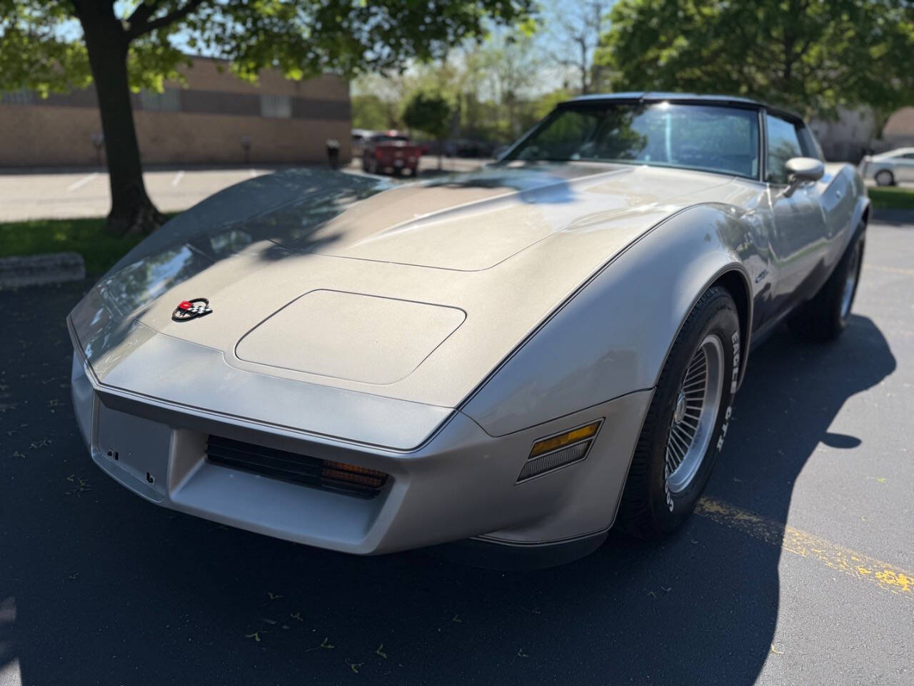 Chevrolet-Corvette-1982-Hatchback-2